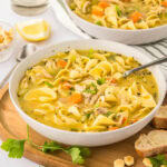 cropped close up chicken noodle soup