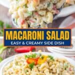 Classic Macaroni Salad – Creamy, Tangy & Made to Share