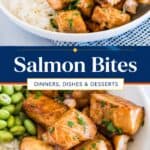 salmon bites collage for pinterest