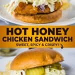 Hot Honey Chicken Sandwich
