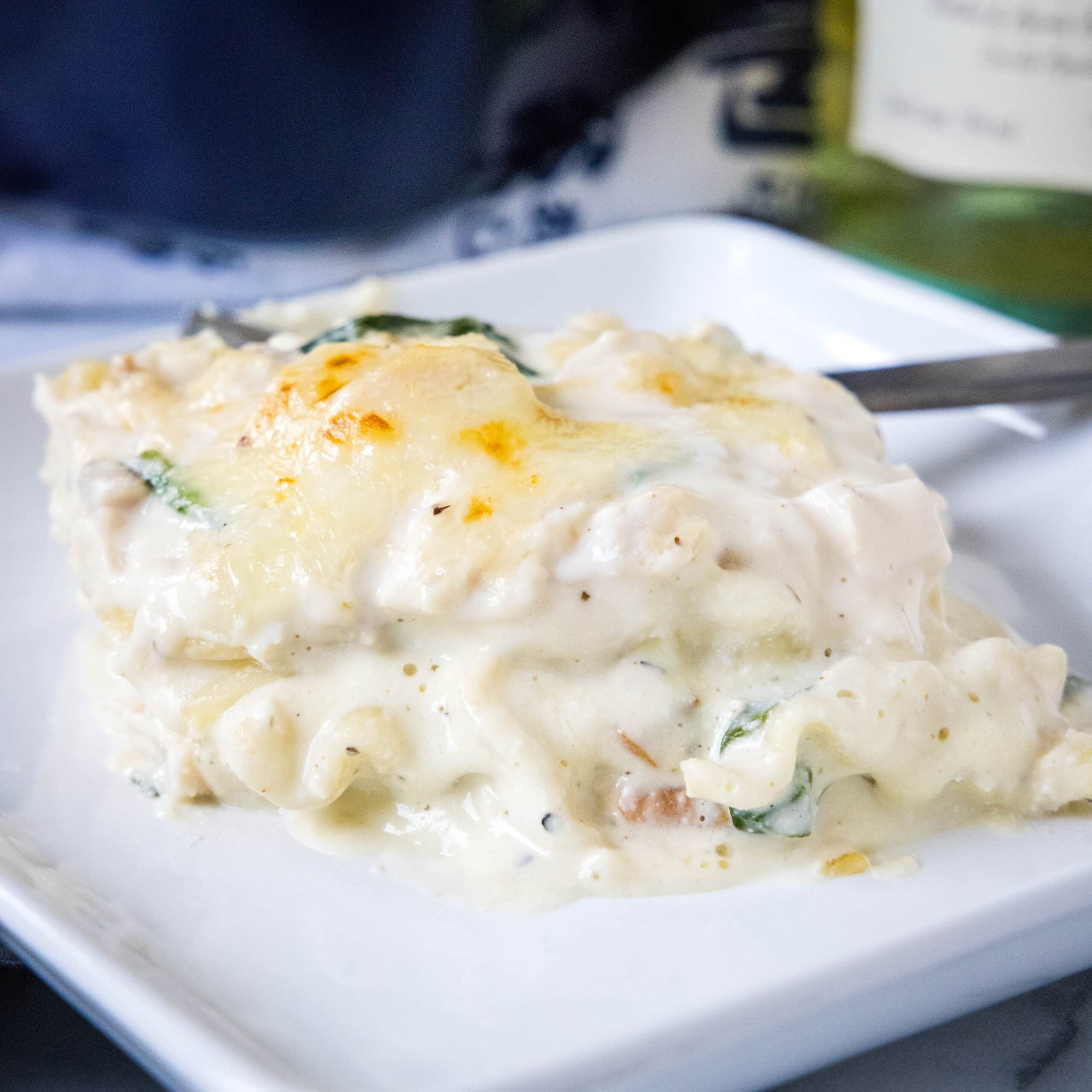 Chicken Alfredo Lasagna