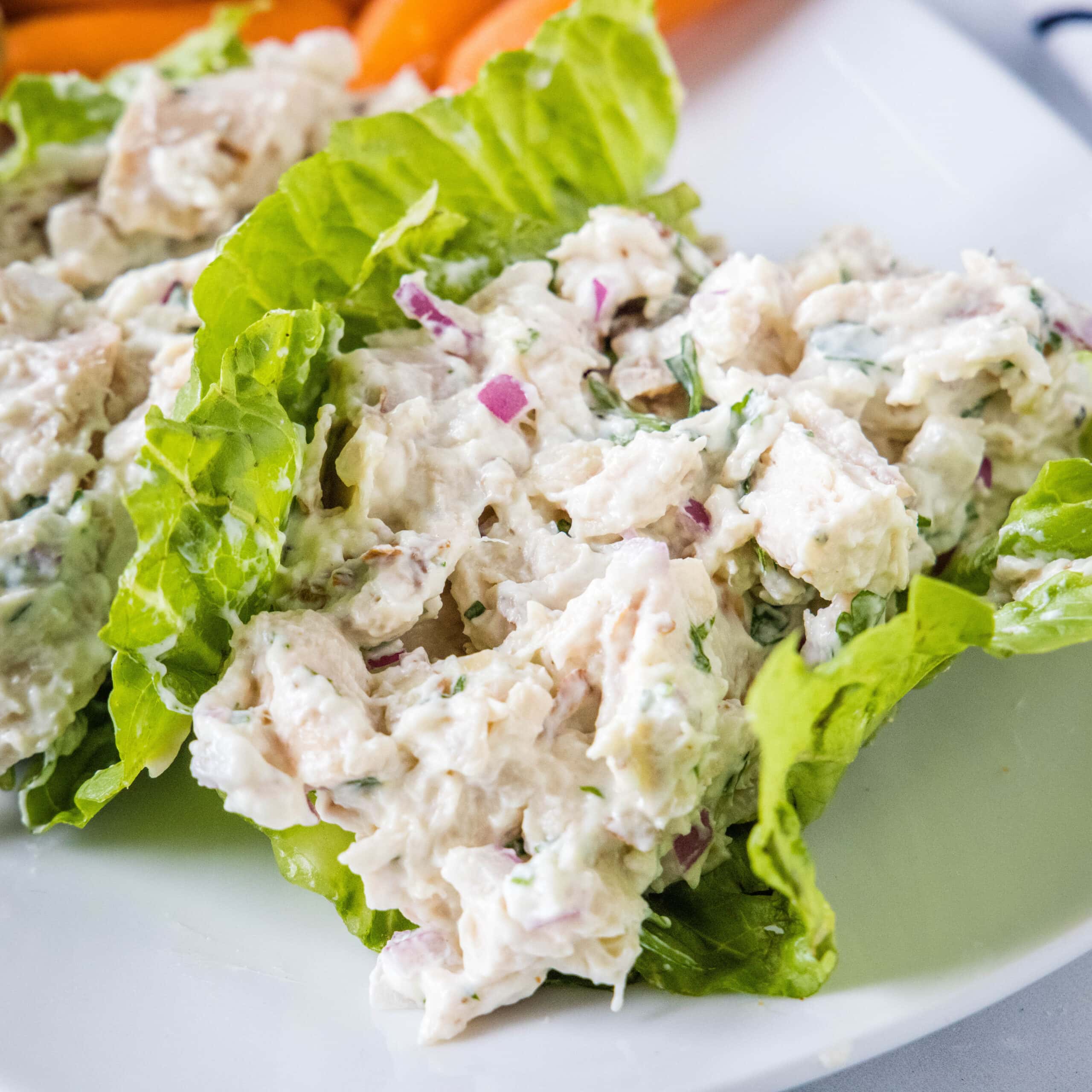 close up healthy chicken salad in lettuce cups on a plate