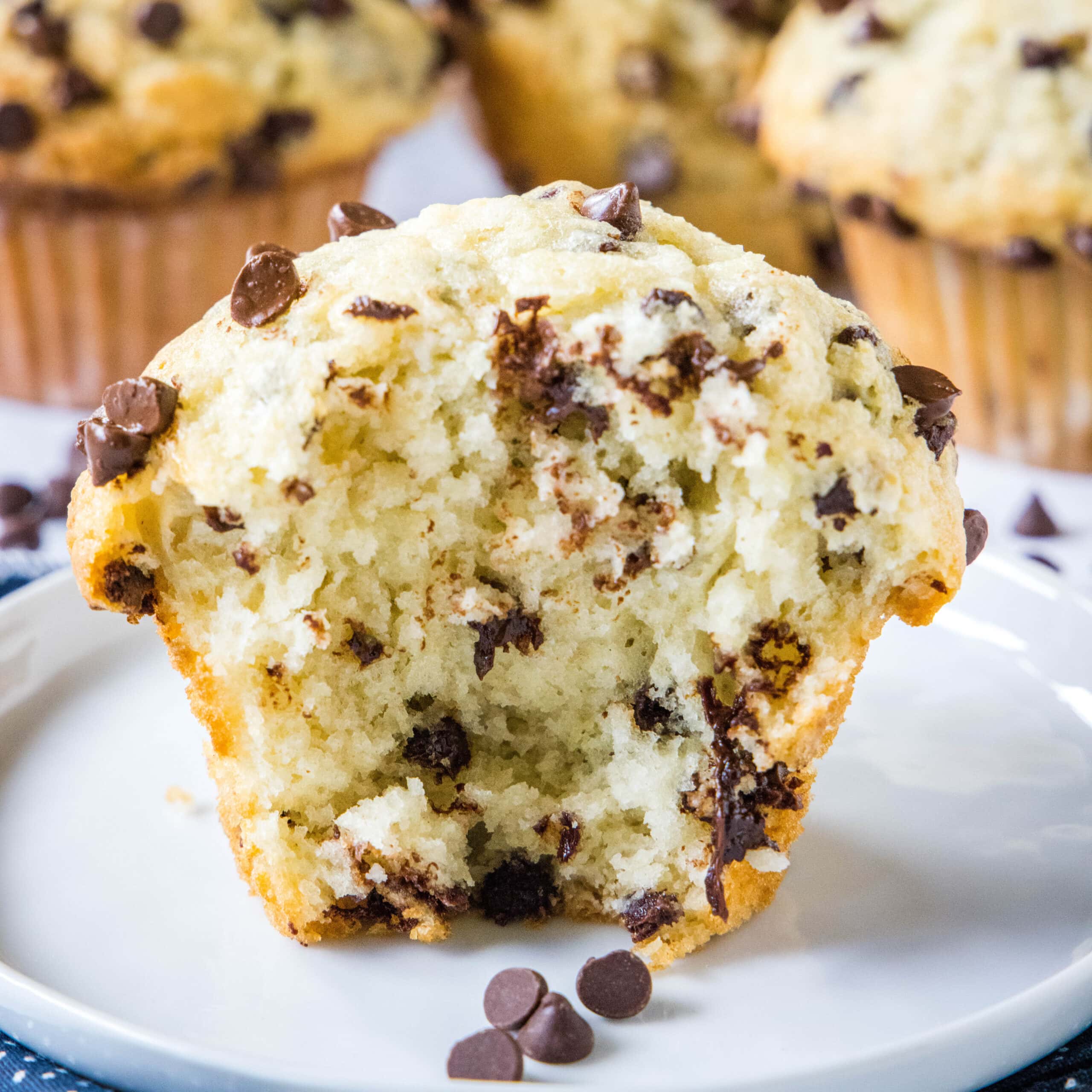 Bakery Style Chocolate Chip Muffins