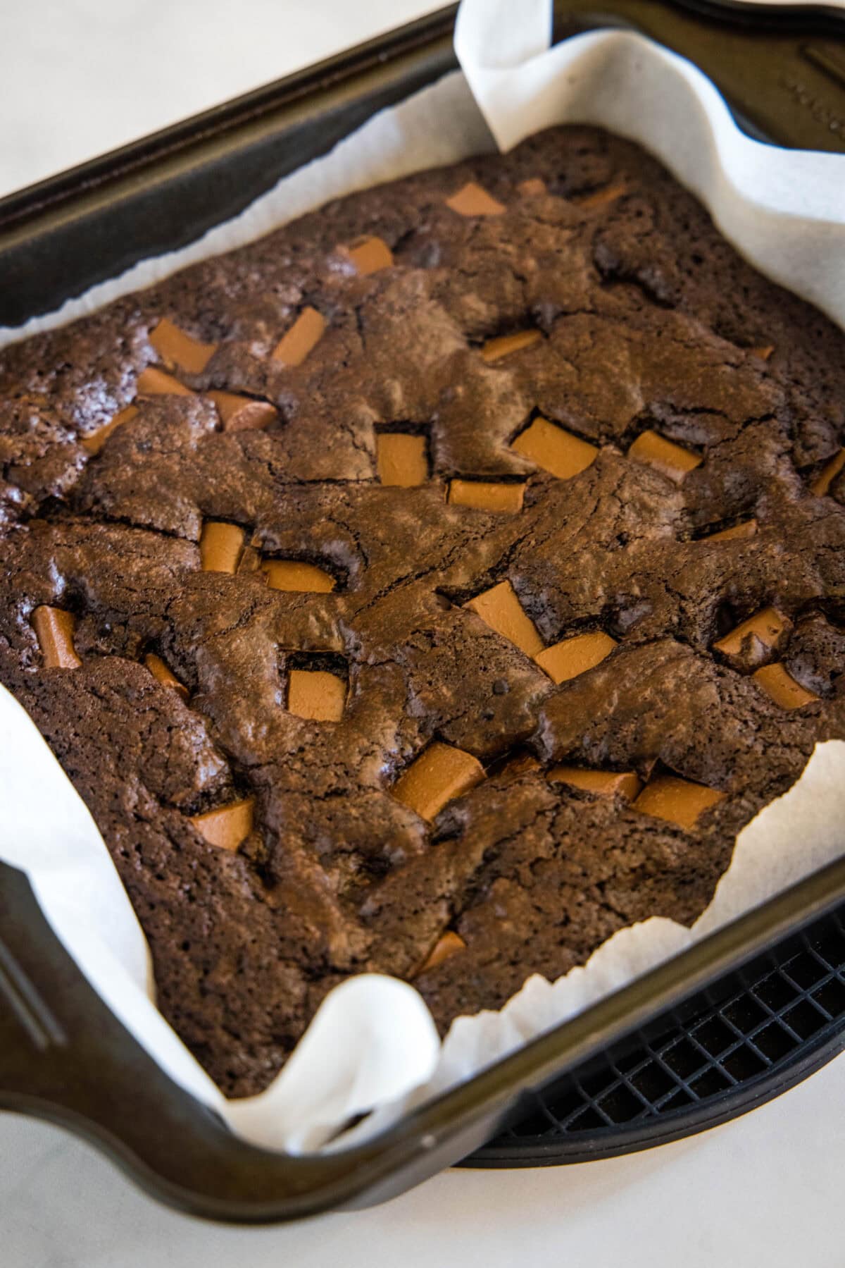 Make thick and chewy, fudgy double chocolate brownies with cocoa powder and chocolate chunks, for loads of melty chocolate in every bite!
