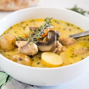 Chicken stew in a white bowl with a spoon.