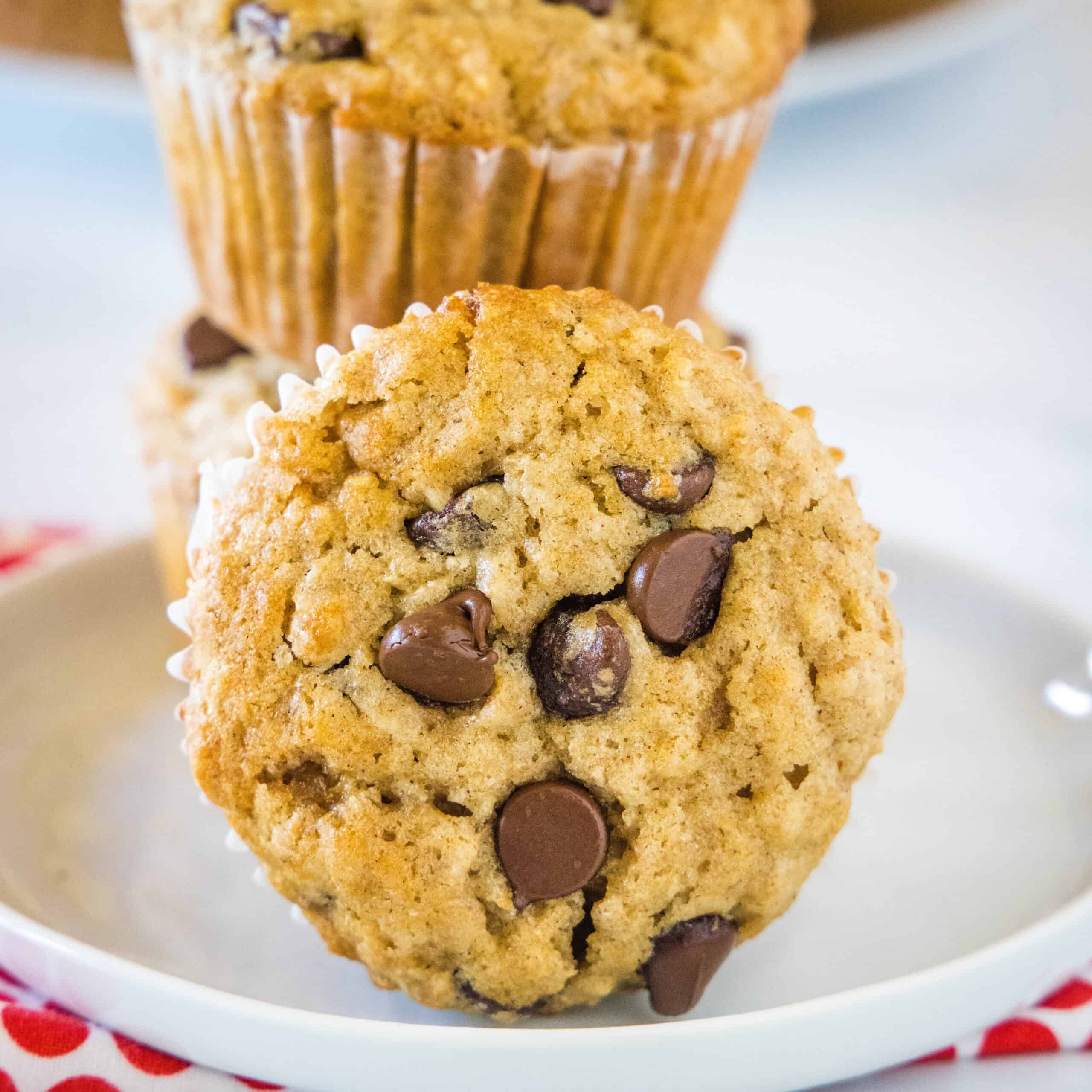 Oatmeal Chocolate Chip Muffins