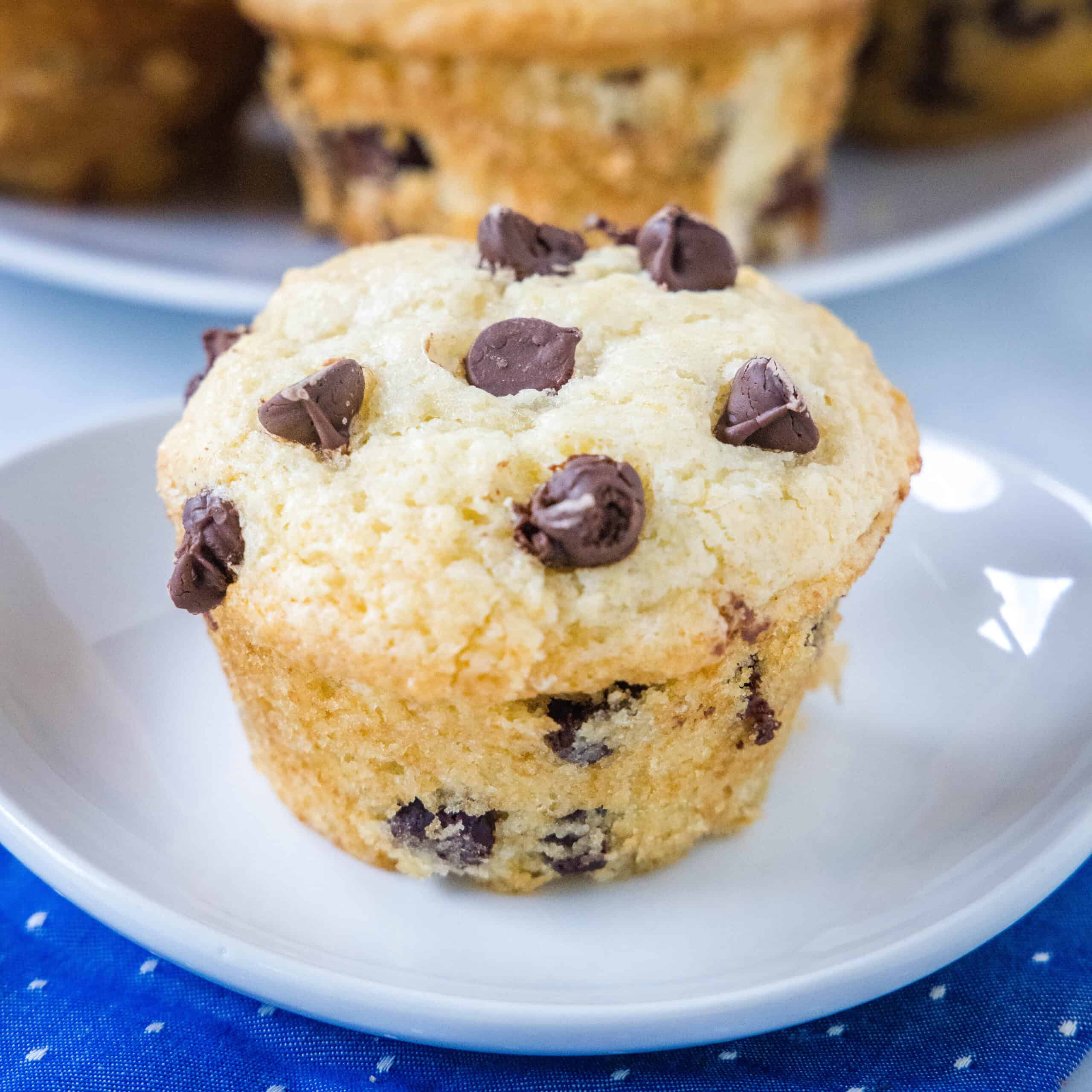 Chocolate Chip Muffins
