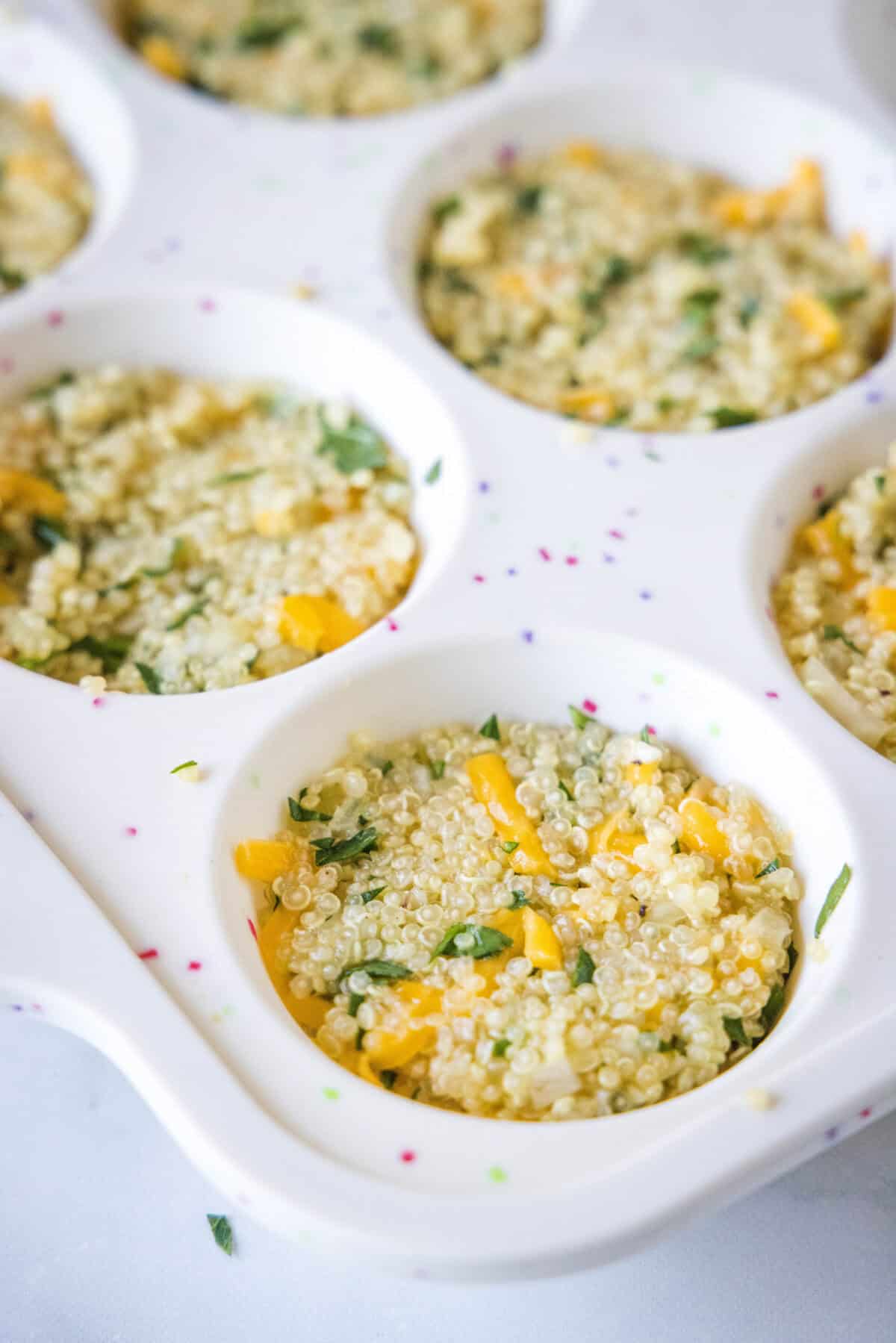 quinoa bites in a muffin tin