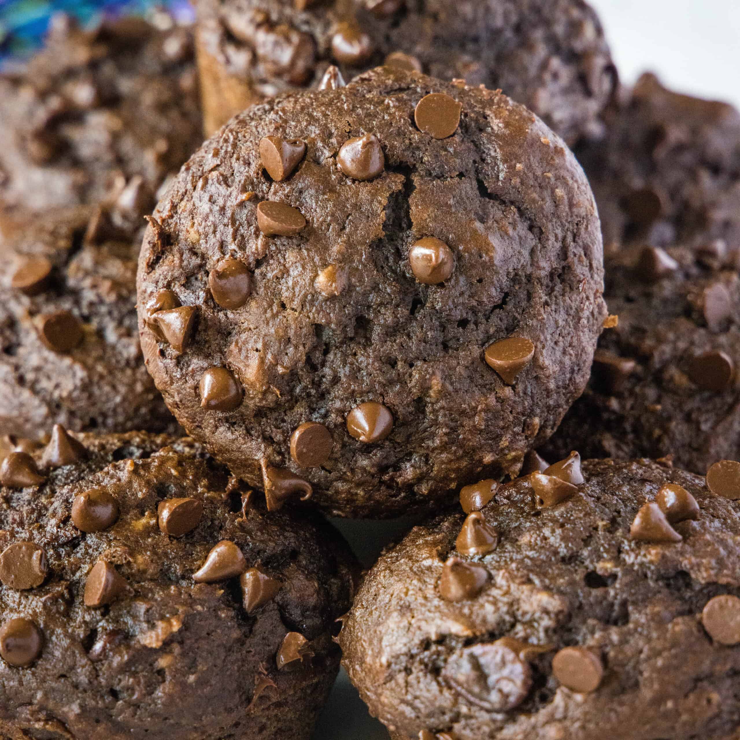Chocolate Applesauce Muffins