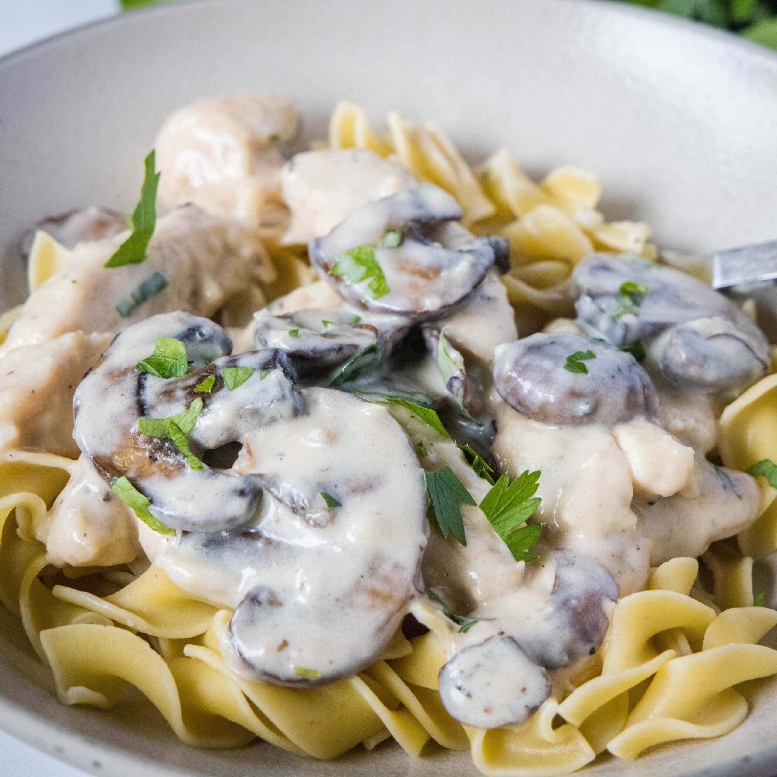 close up chicken stroganoff over noodles in a bowl