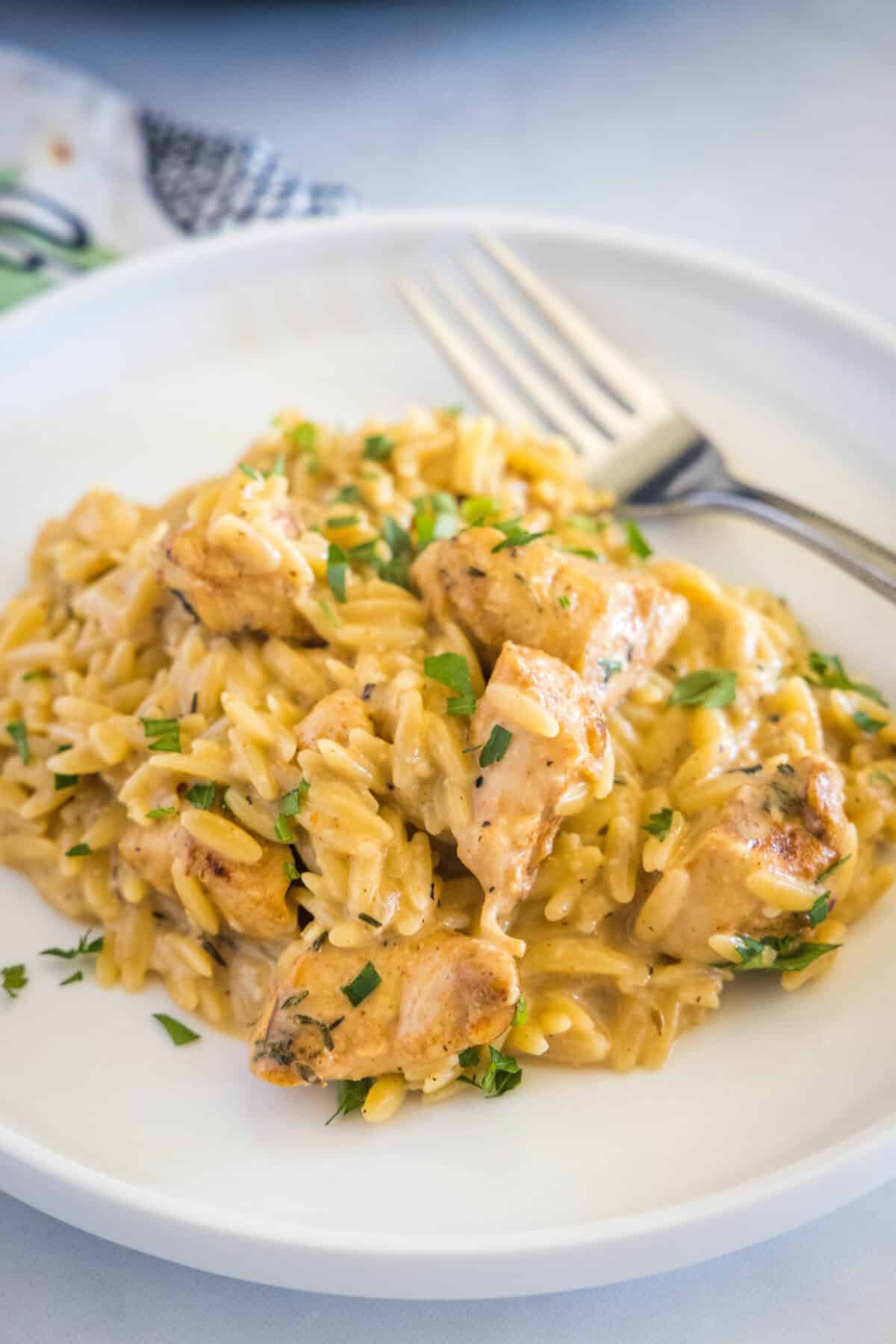 creamy chicken and orzo on a white plate