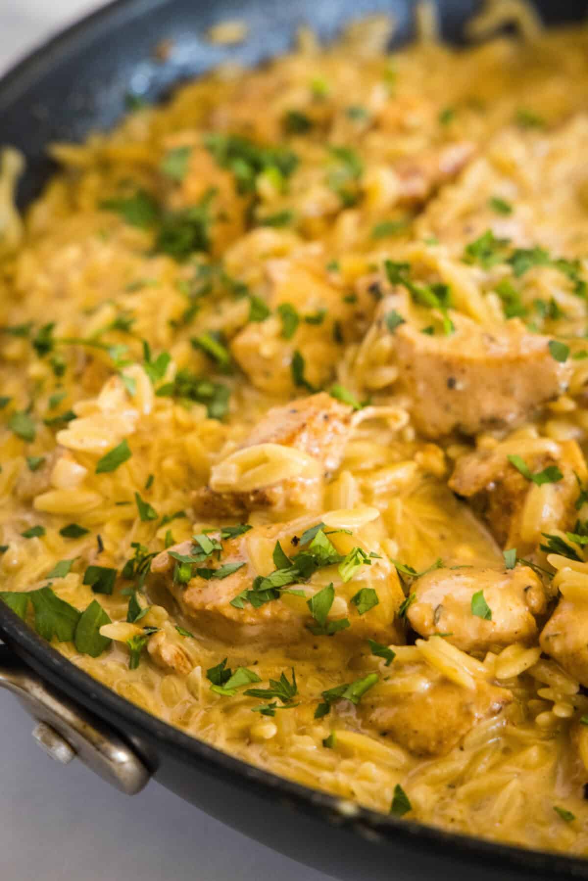 chicken and orzo in a skillet