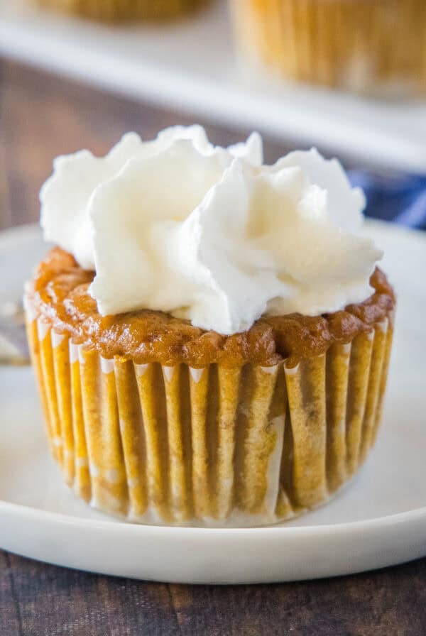 close up pumpkin pie cupcake on a white plate