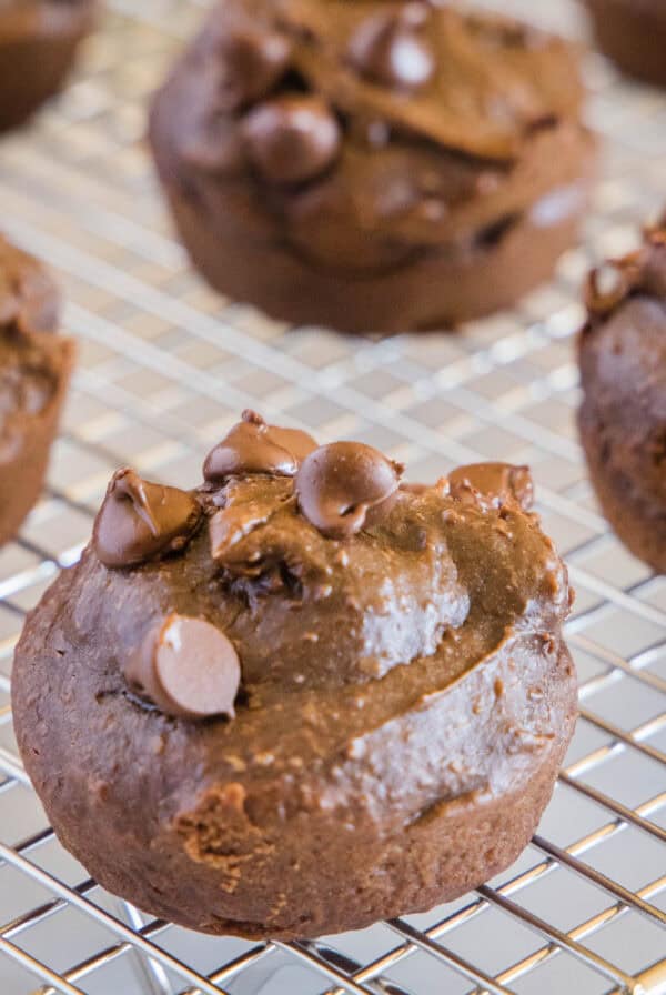 close up chocolate blender muffins on cooling rack