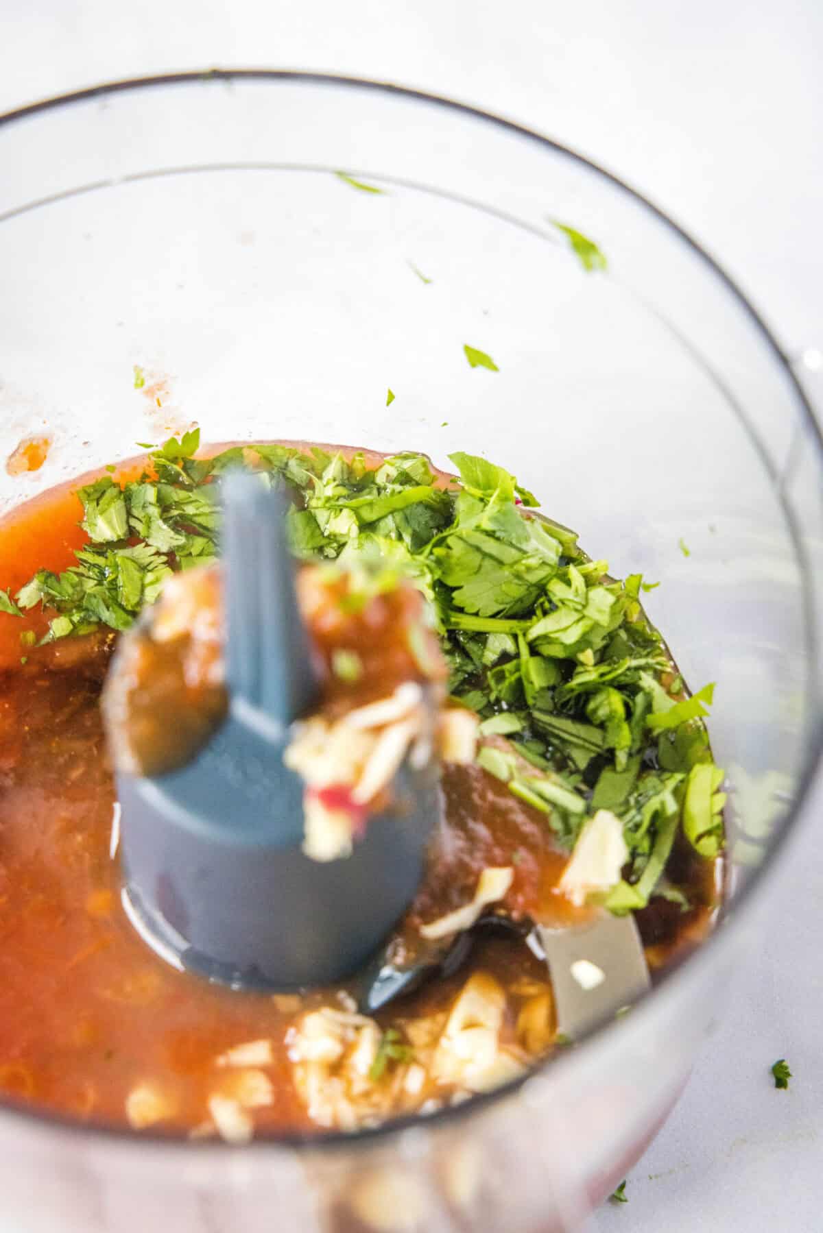 salsa vinaigrette ingredients in food processor