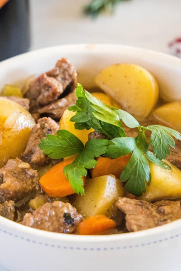 beef stew close up in a white bowl