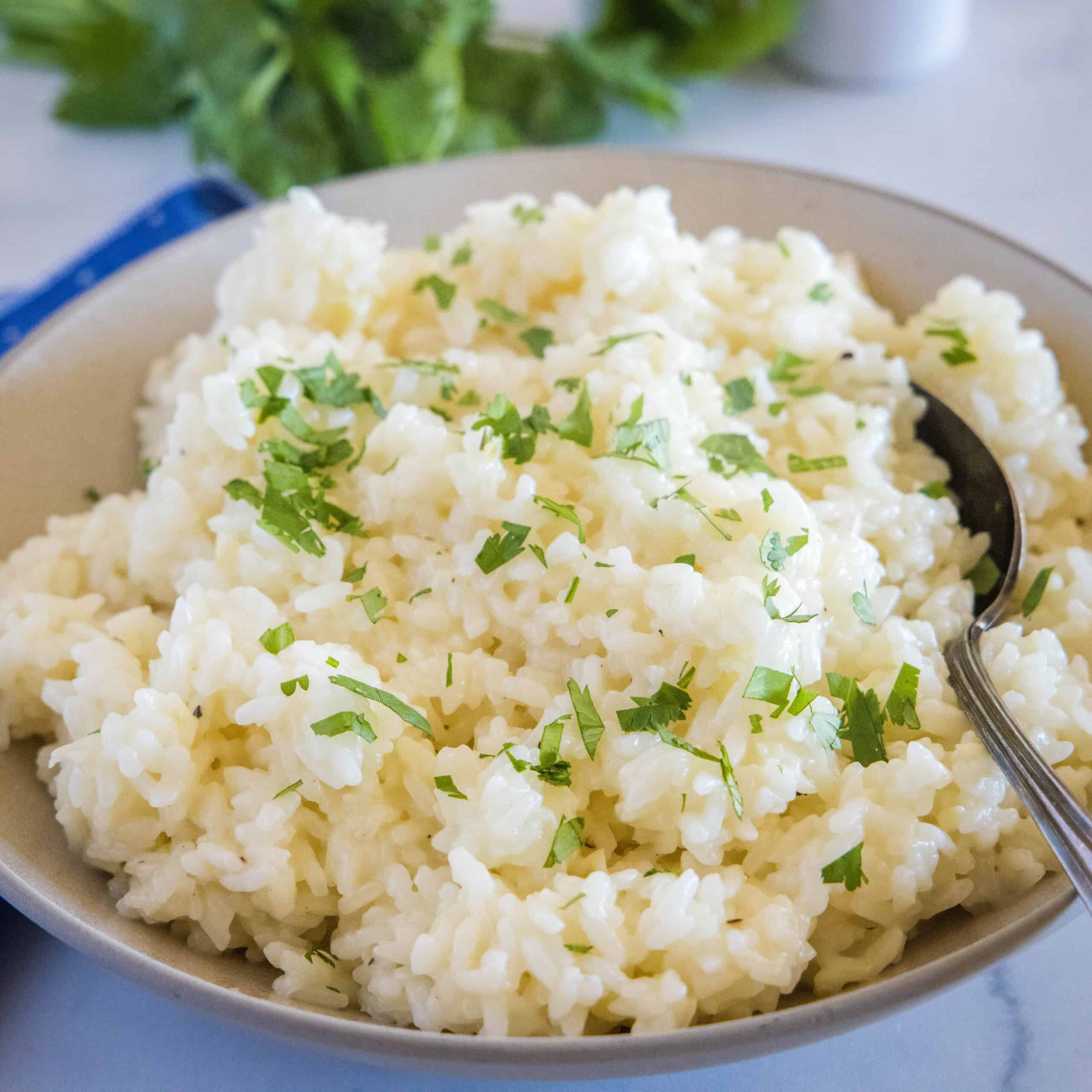 Garlic Butter Rice