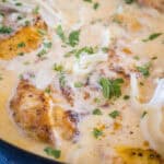 close up smothered chicken in skillet