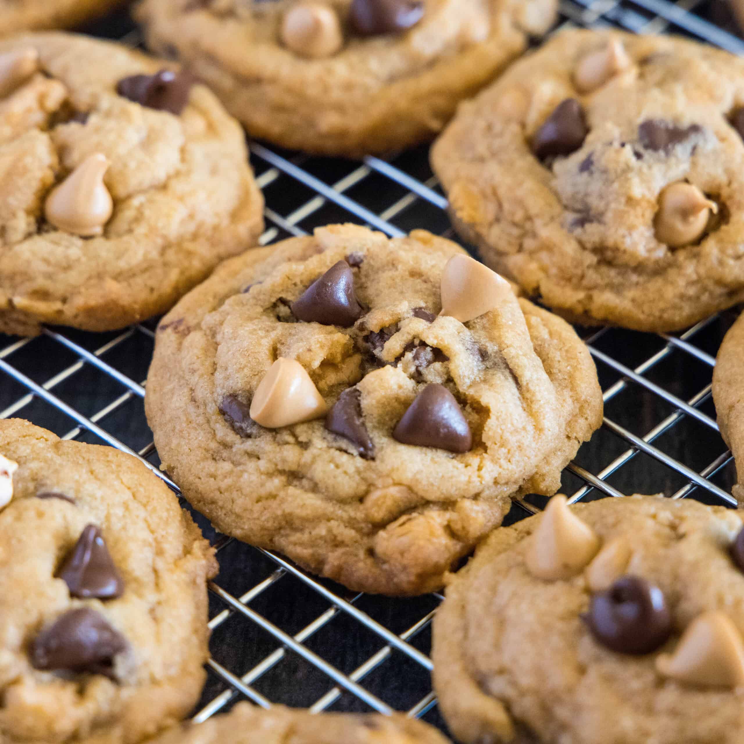 Butterscotch Chip Cookies