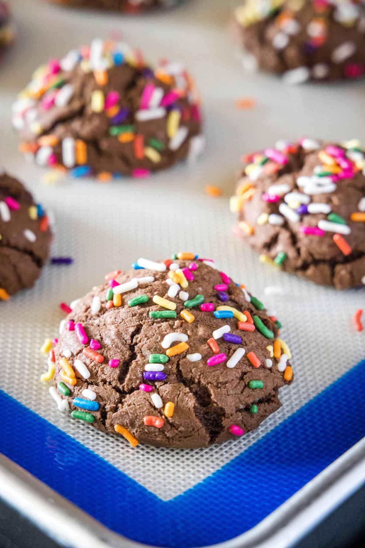chocolate sprinkle cookies baked on baking tray