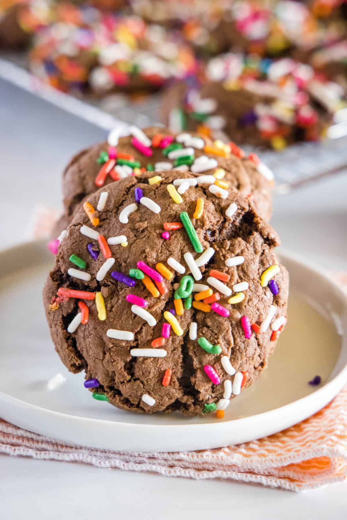 chocolate sprinkle cookie standing up on a plate