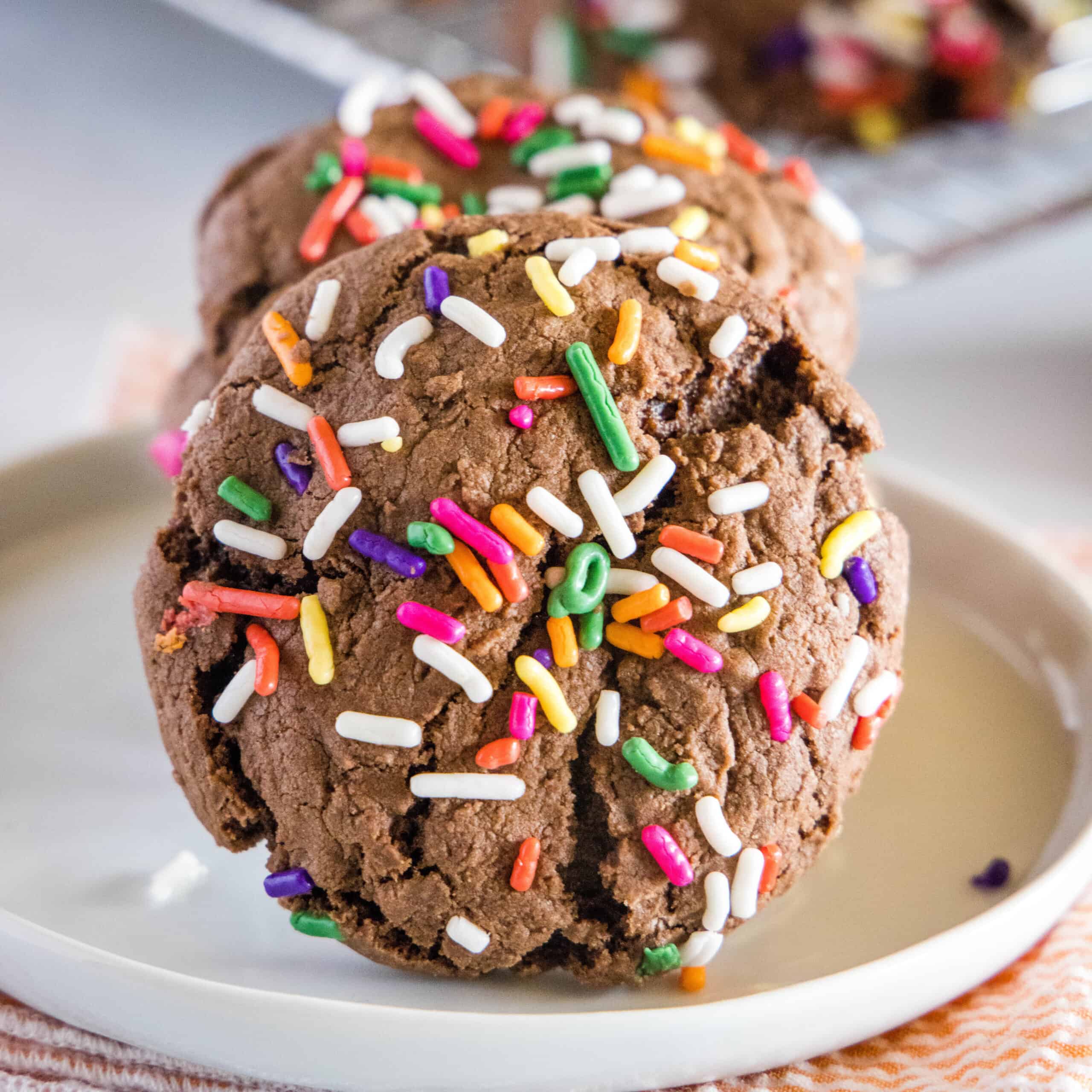 Chocolate Sprinkle Cookies