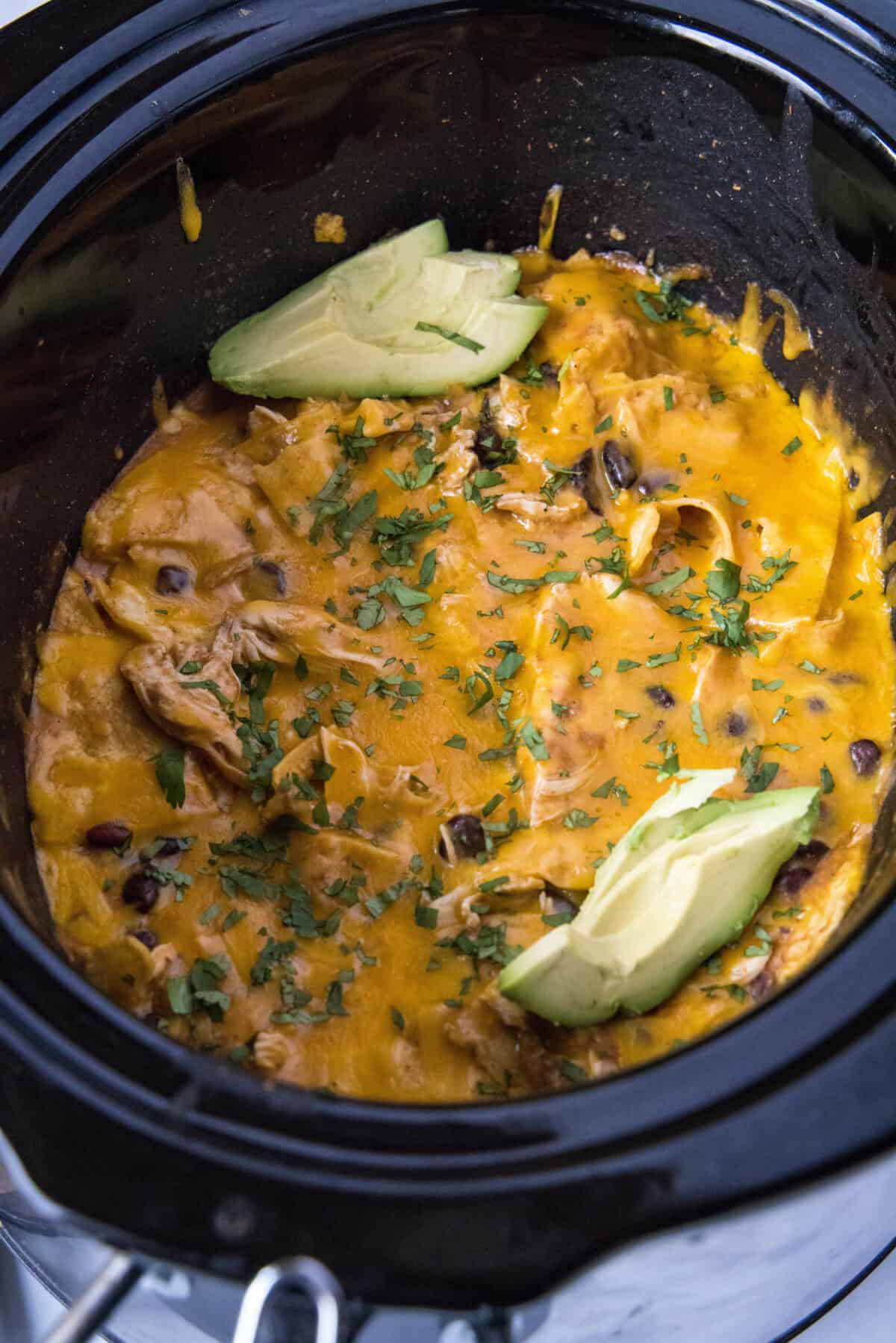 crockpot chicken enchiladas topped with cilantro and avocado