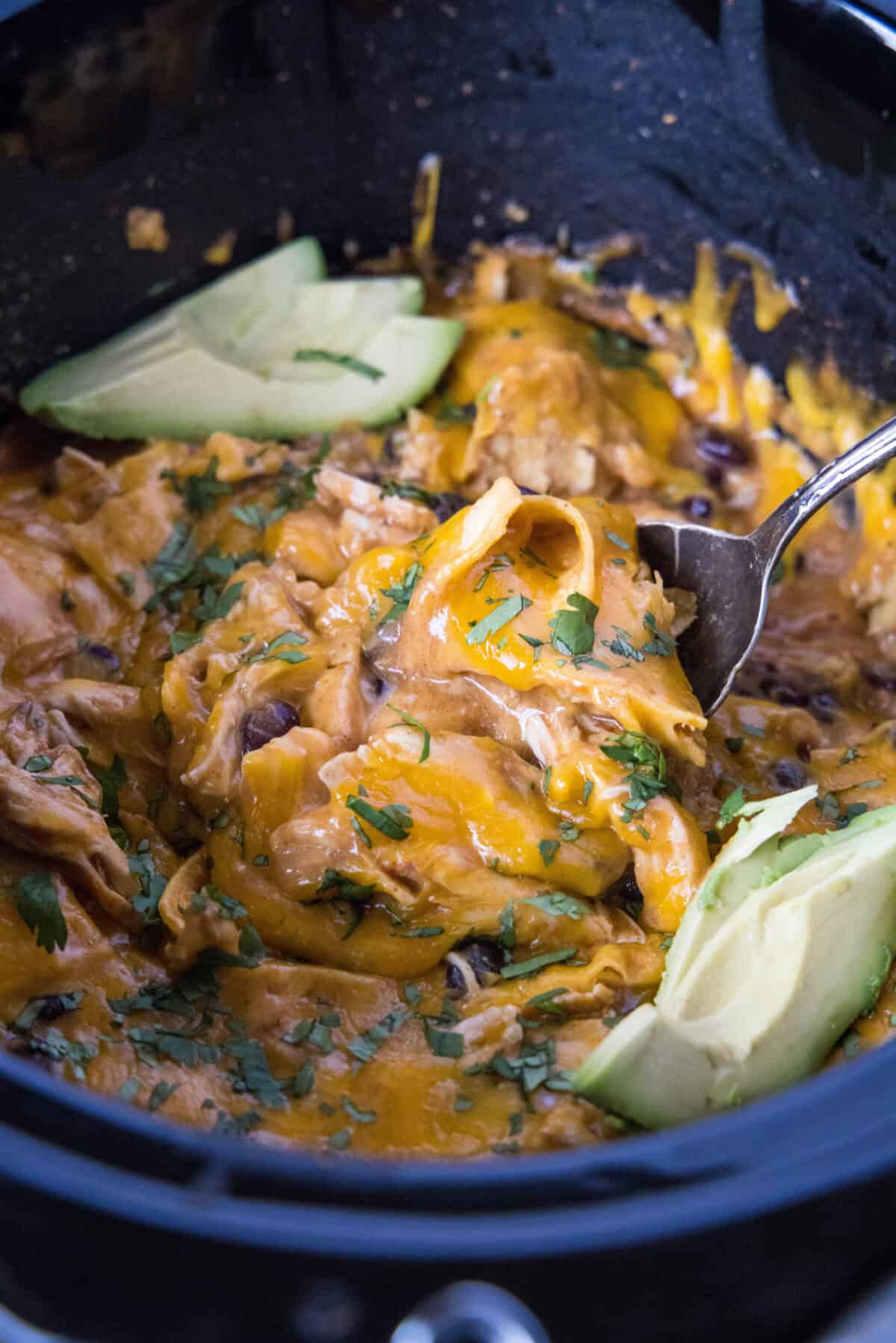 slow cooker chicken enchiladas being scooped out of the crockpot