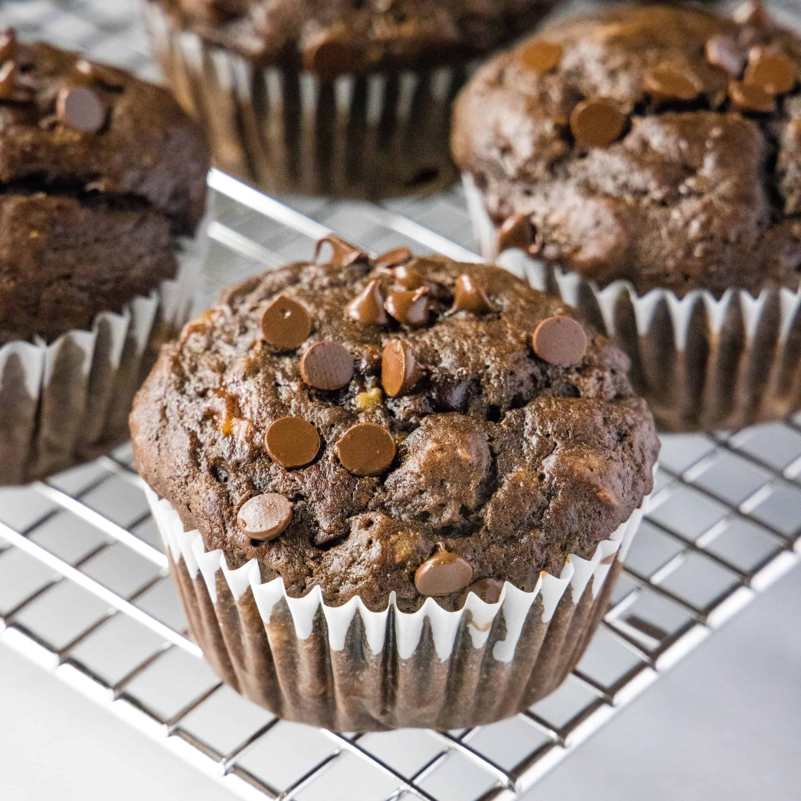 Chocolate Banana Muffins