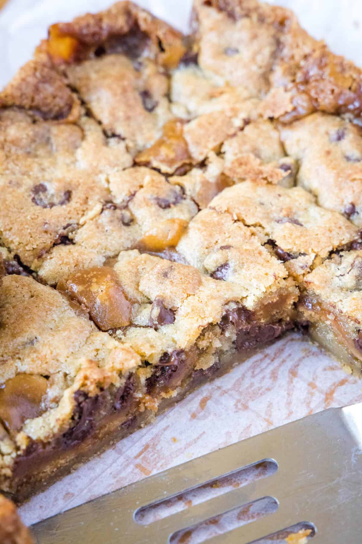 Biscoff Caramel Cookie Bars cut biscoff cookie bars on cutting board