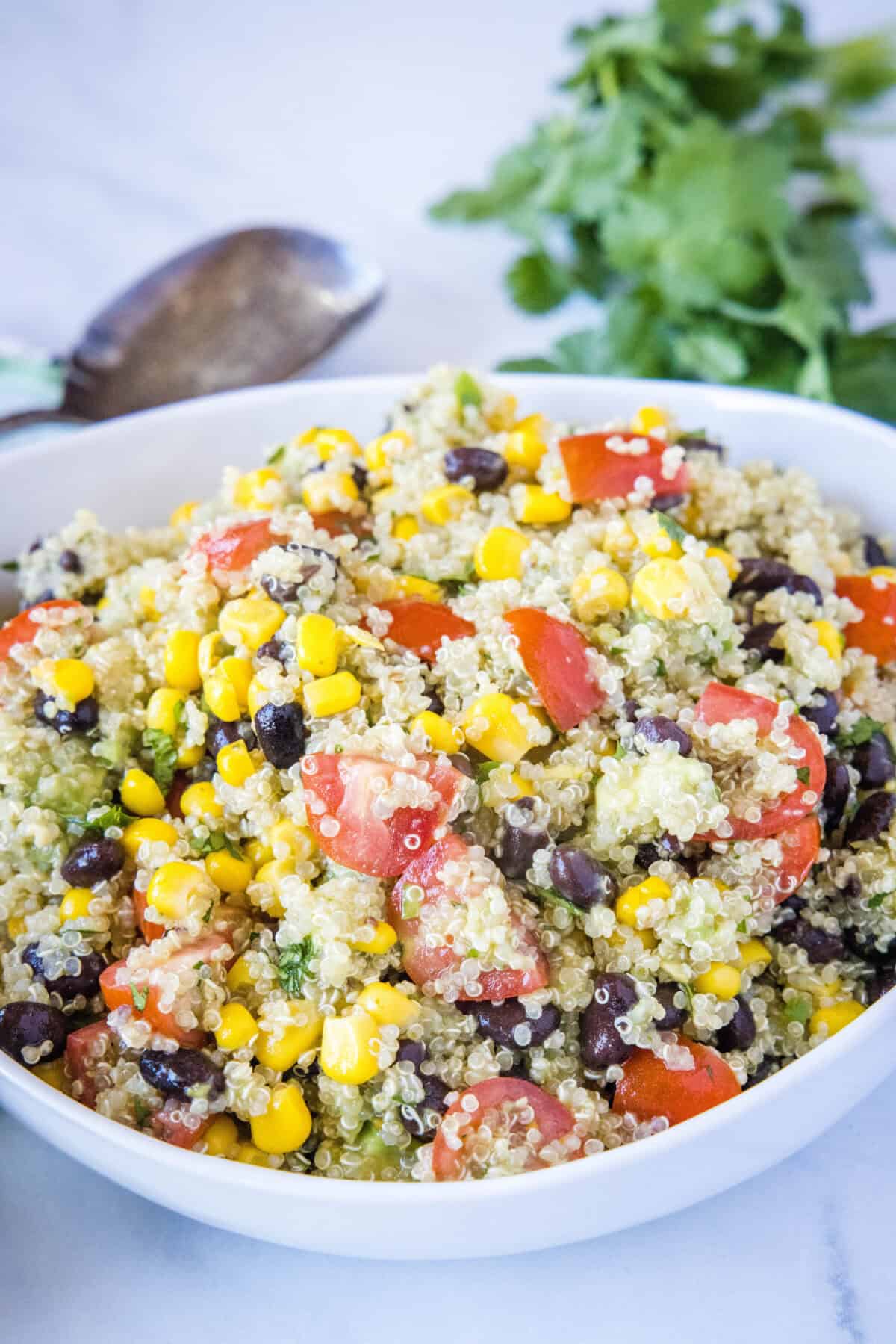 Mexican Quinoa Salad 3 mexican quinoa salad in a bowl