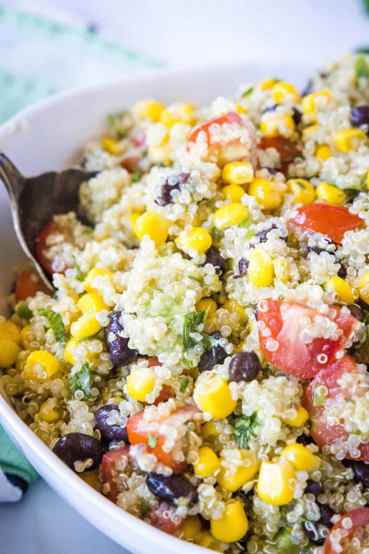 Mexican Quinoa Salad mexican quinoa salad in a serving bowl