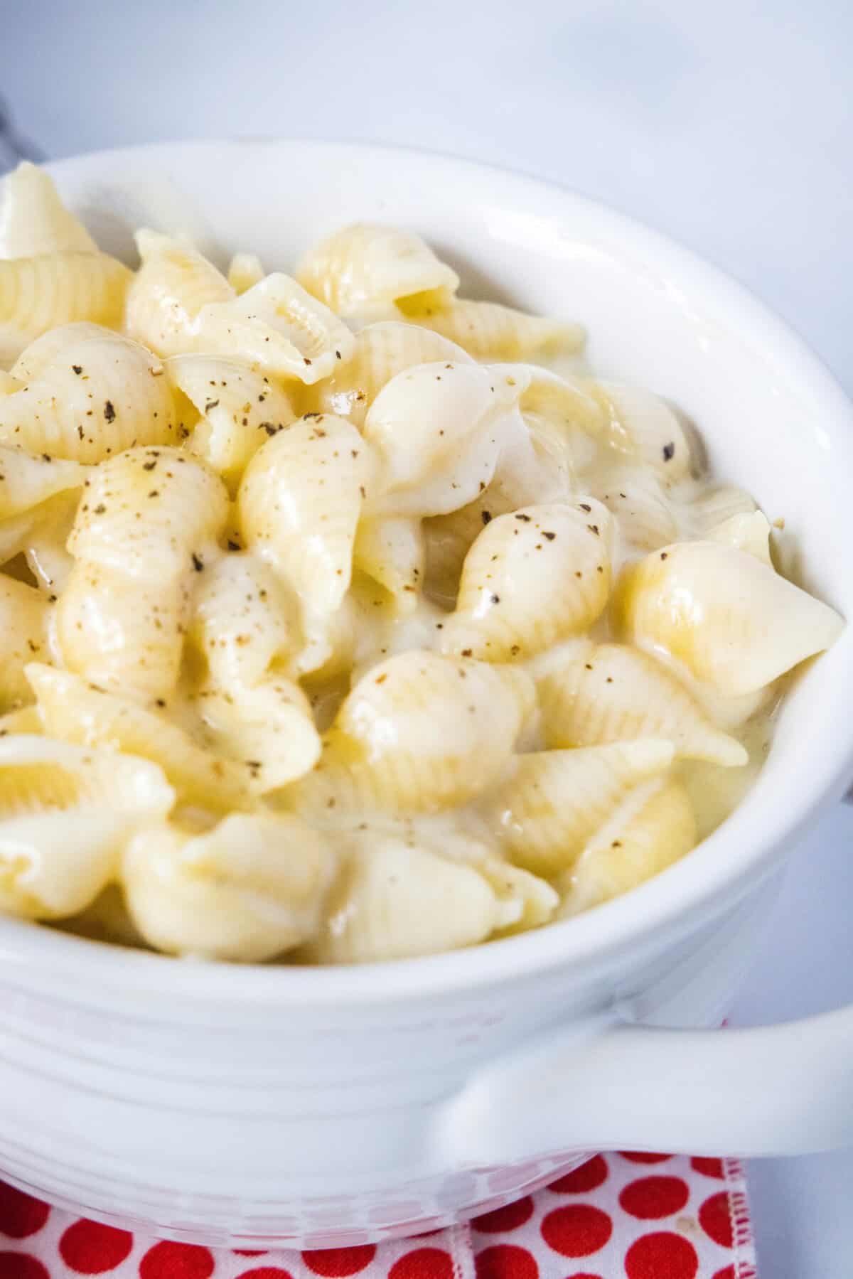 a bowl of panera mac and cheese