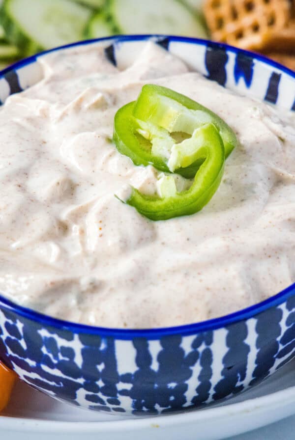 cropped close up yogurt dip in bowl