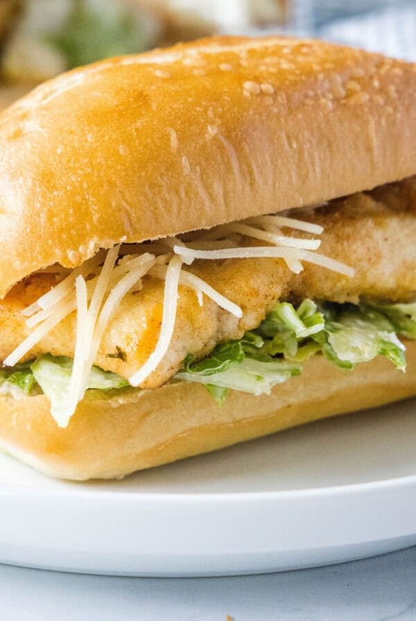 close up chicken caesar sandwich