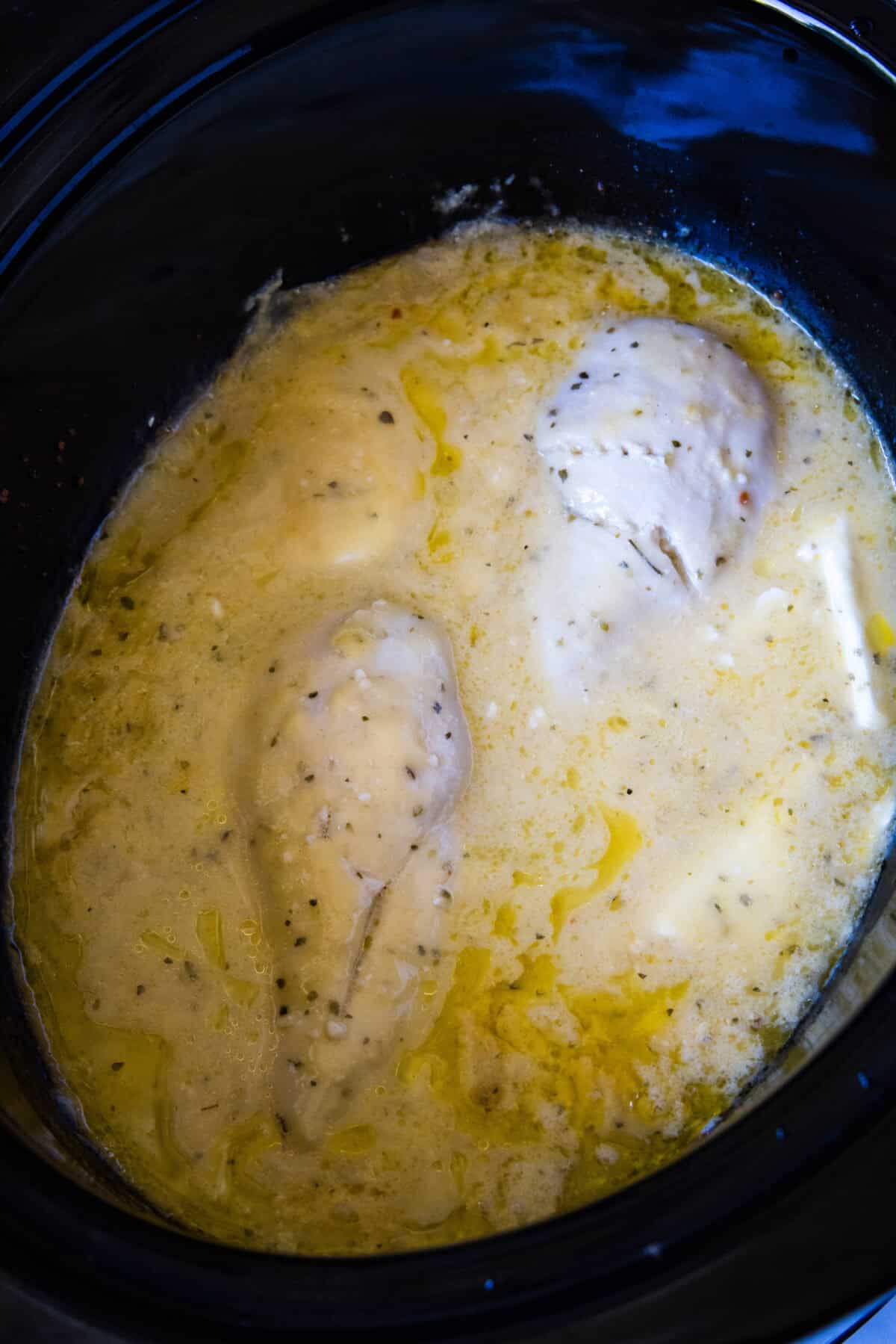 cooked chicken in olive garden sauce in crockpot