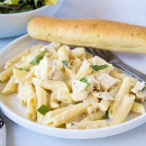 cropped close up olive garden chicken pasta