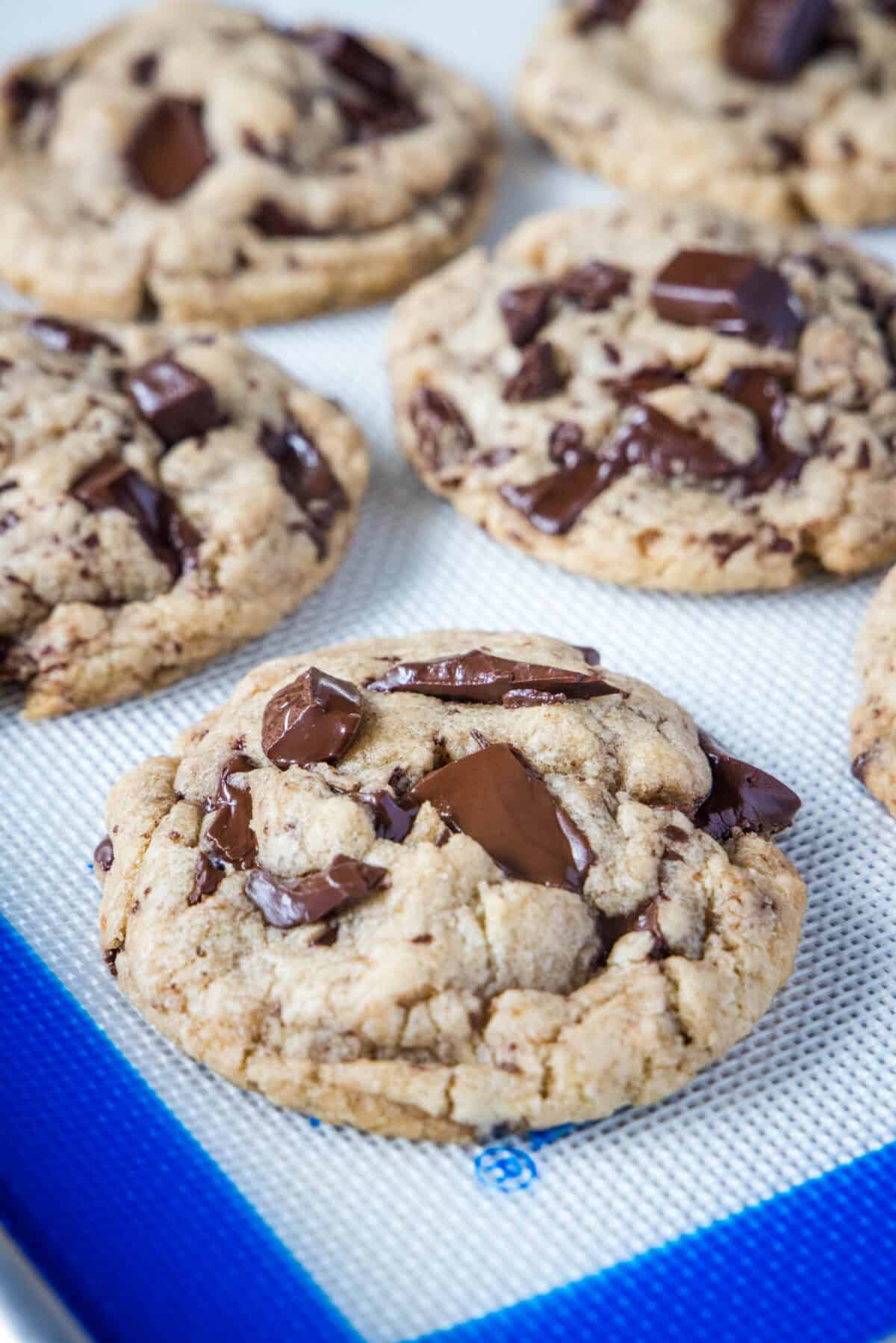 bakery chocolate chip cookies on baking tray