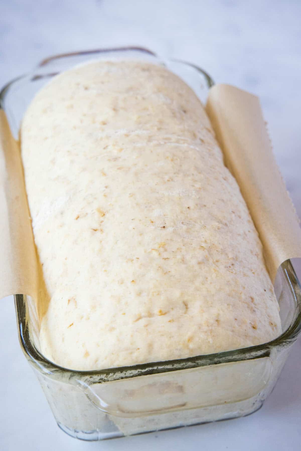 oatmeal bread dough ready for the oven in baking pan