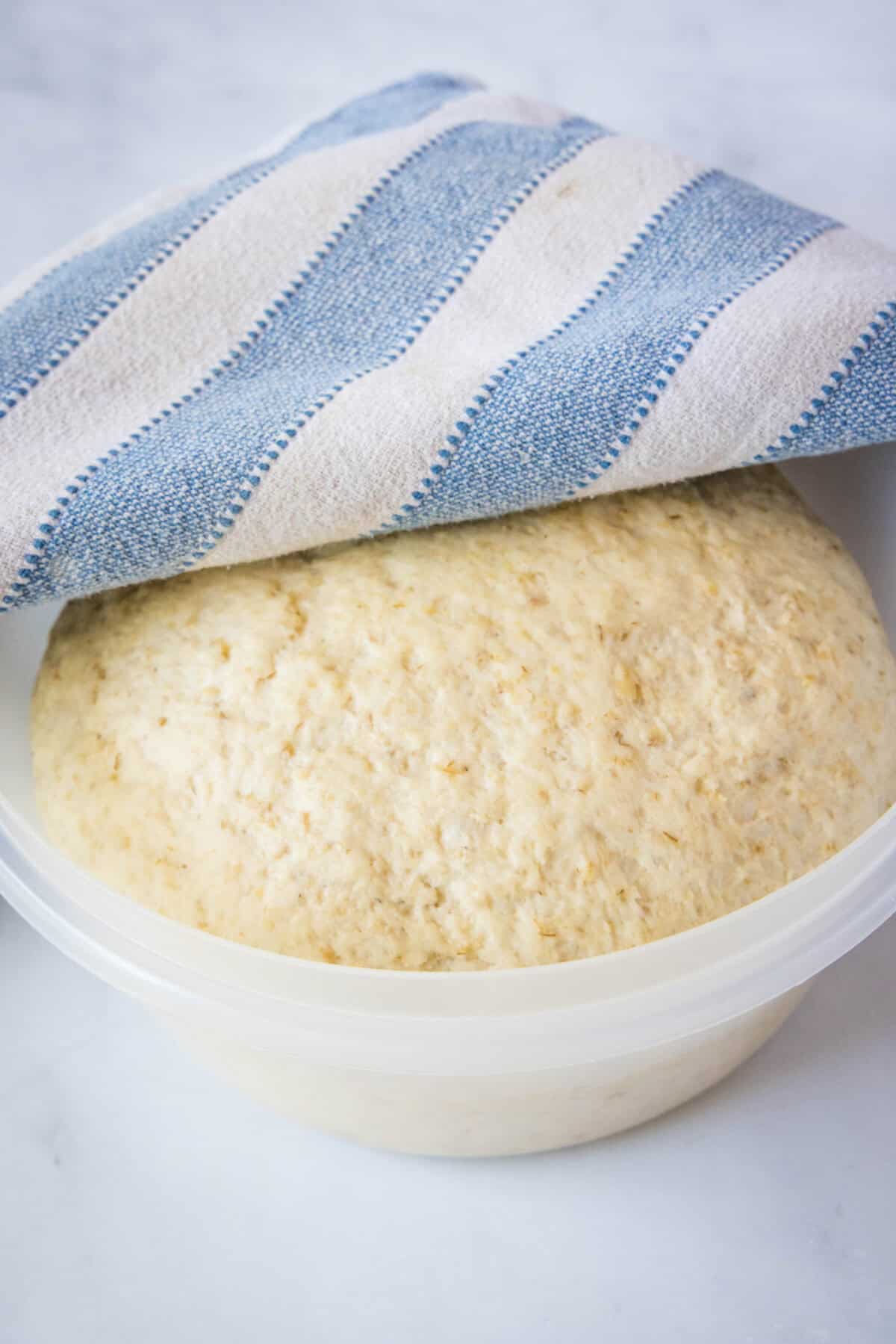 risen bread dough in bowl
