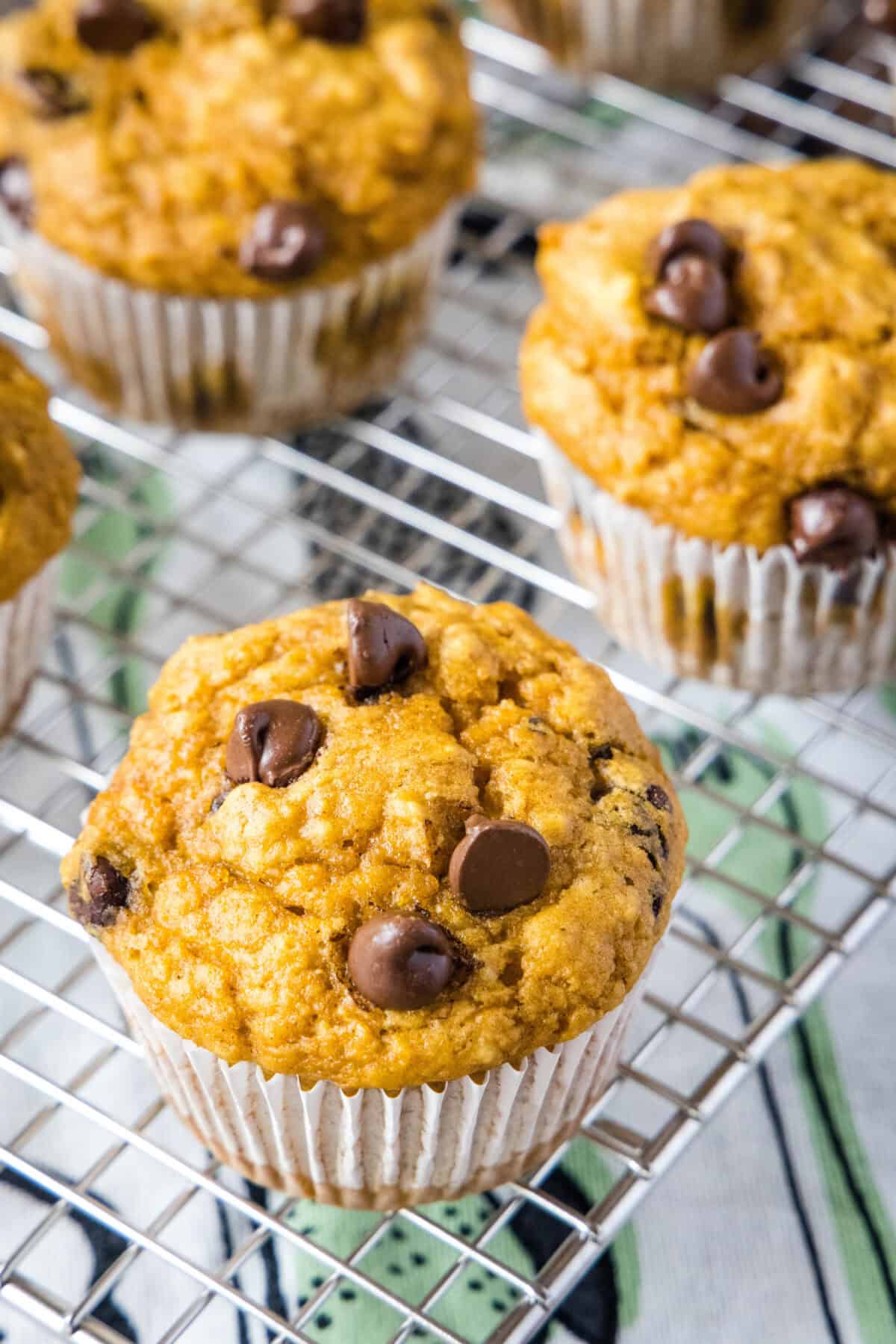 pumpkin chocolate chip muffins on cooling rack