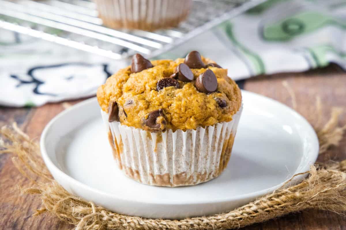 pumpkin chocolate chip muffin on a white plate