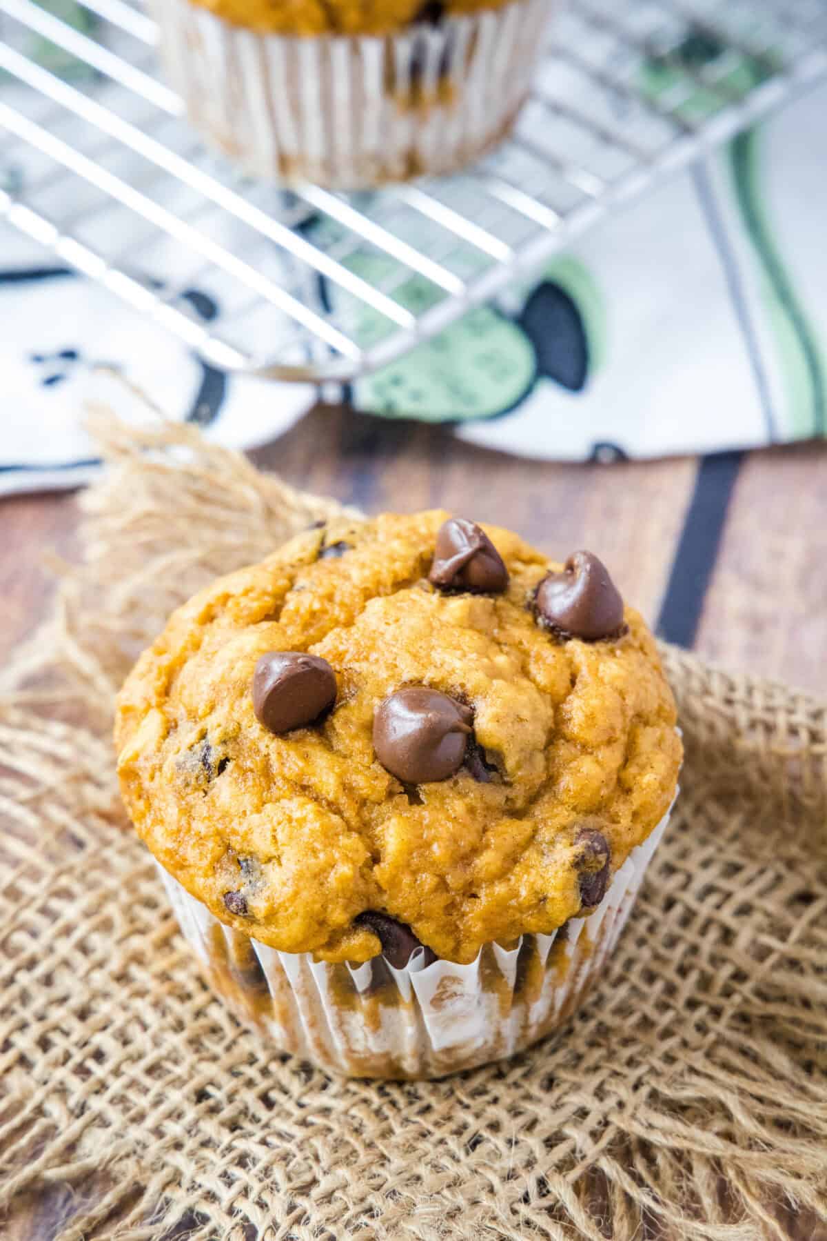 pumpkin chocolate chip muffin on table