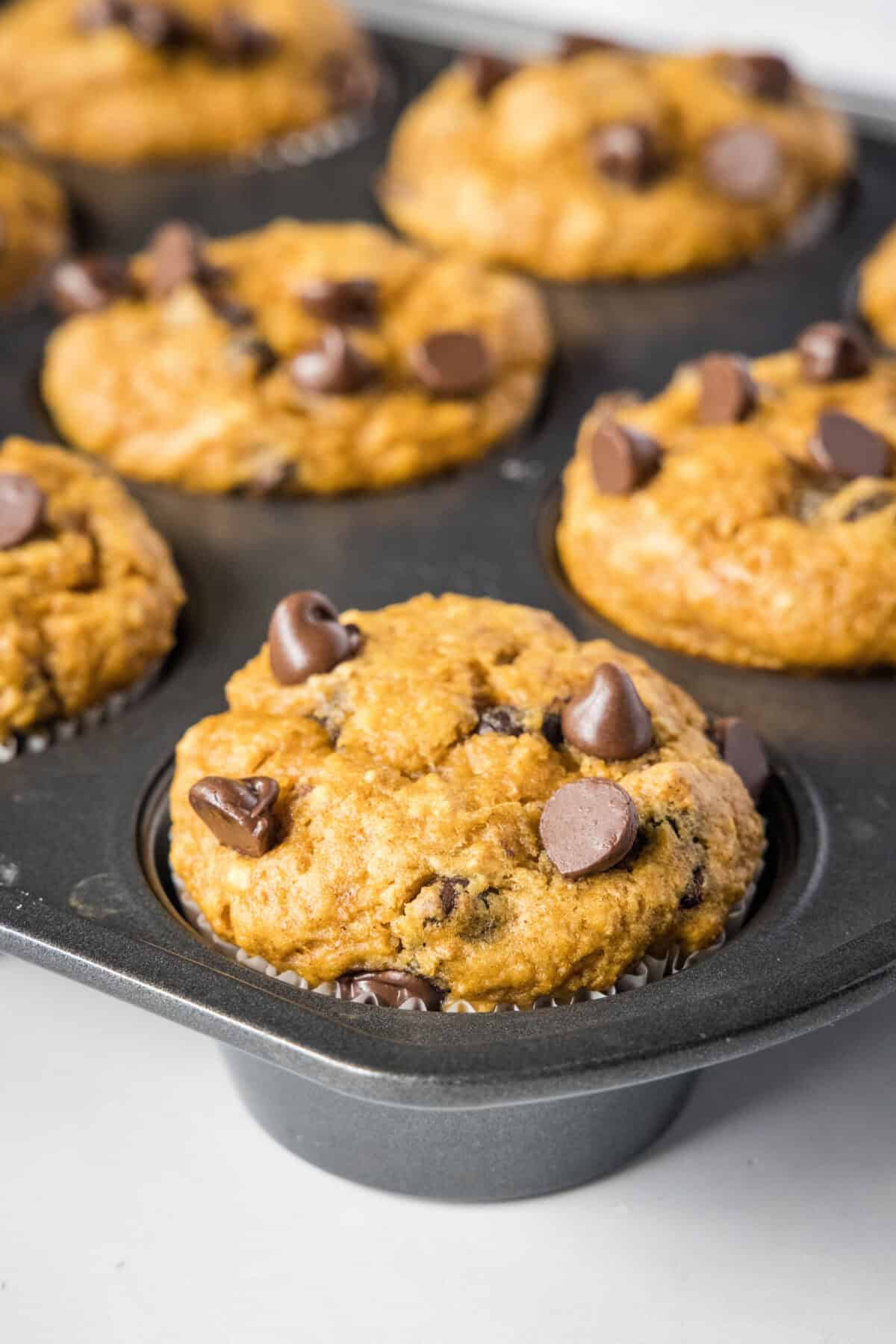 pumpkin chocolate chip muffins in muffin pan