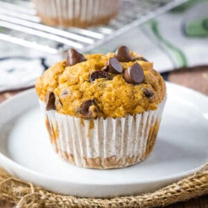 close up pumpkin chocolate chip muffin on a white plate