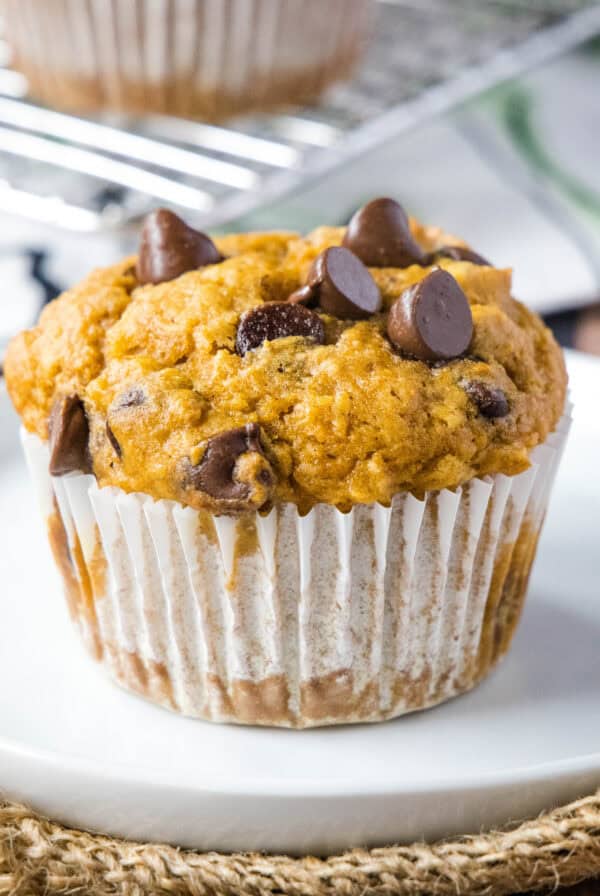 close up pumpkin chocolate chip muffin on a white plate