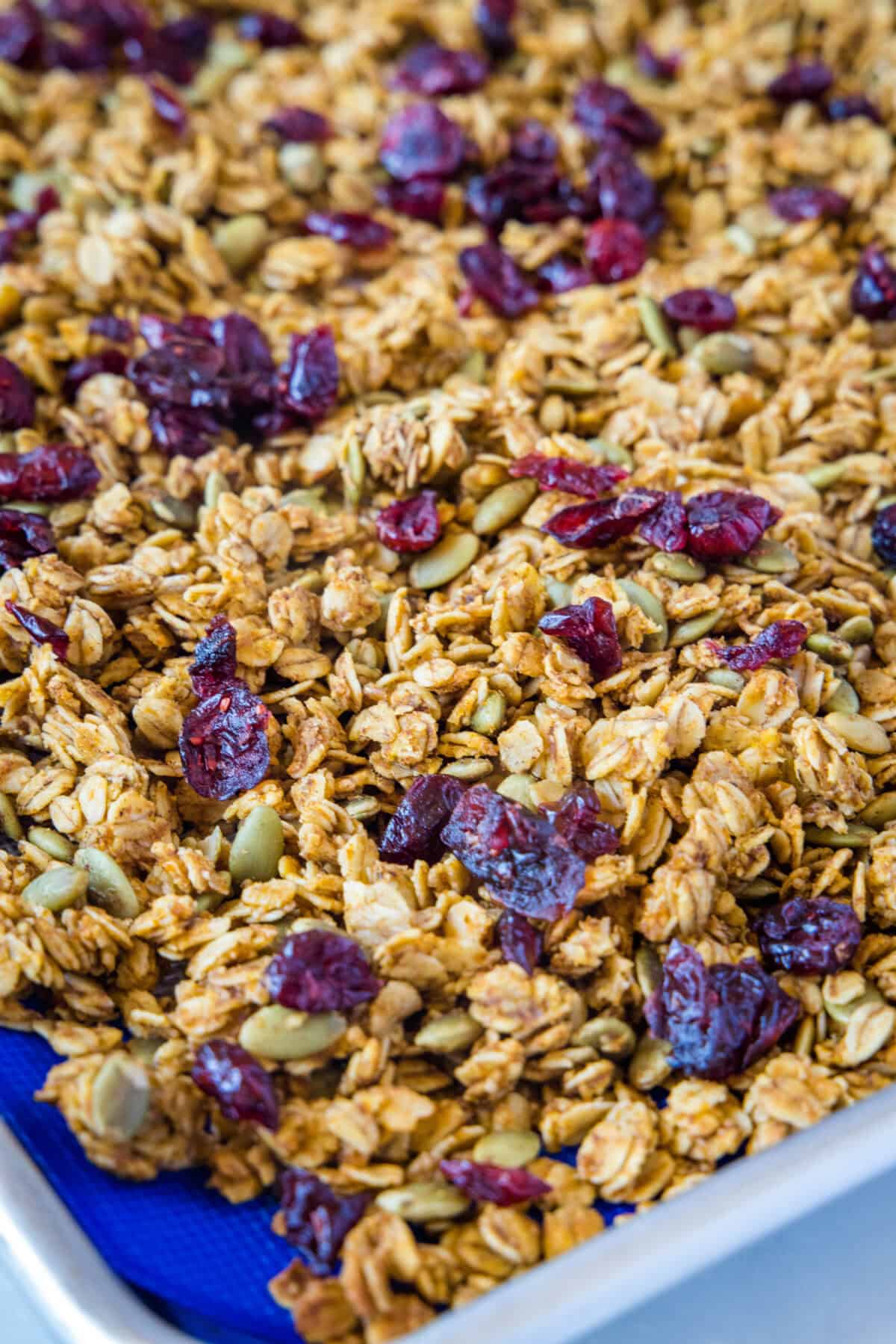 Pumpkin Granola 2 adding cranberries to a sheet pan of pumpkin granola