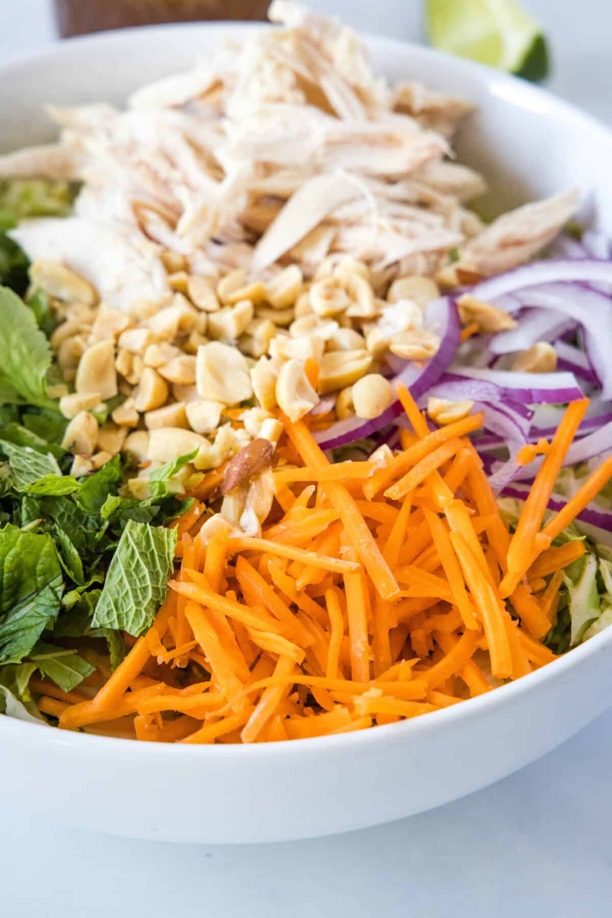 vietnamese chicken salad ingredients in bowl
