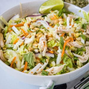 cropped close up vietnamese chicken salad in a serving bowl
